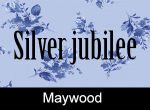 Silver Jubilee 25 Anniversary Maywood Studios